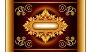 aamira urdu meaning details