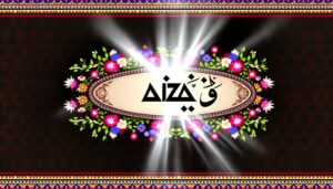 aiza urdu meaning details