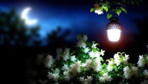 arabic name meaning light