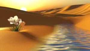 arabic name nawal origin