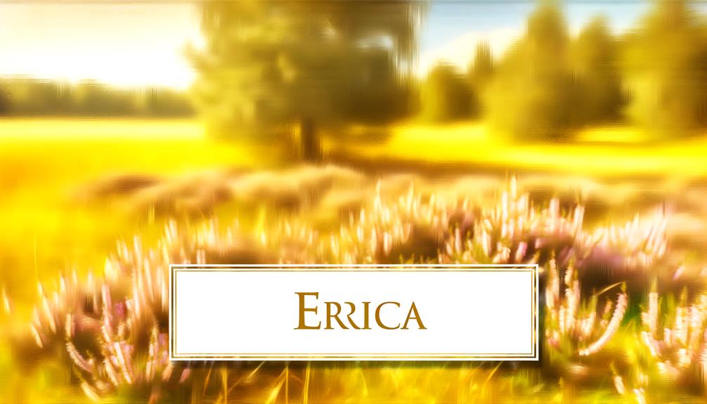 erica name origin analysis