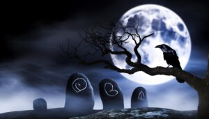 exploring the raven s significance