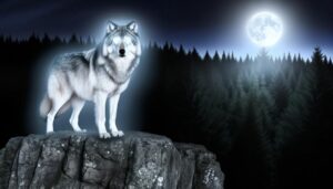 exploring wolf name origins