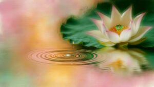janvi river of life