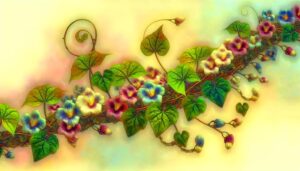 liana climbing vine plant