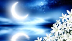 mahnoor name meaning detailed