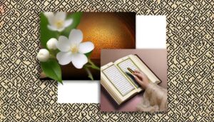meaning of haleema name