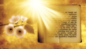 meaning of umme habiba