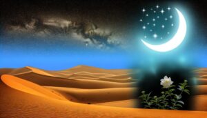 origin and meaning of layla