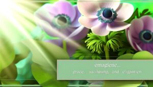 origin and significance explained