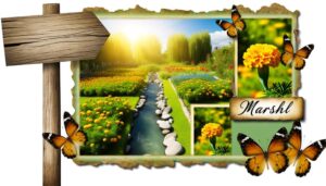 origin and significance explained