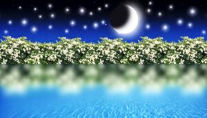 origin and significance explained