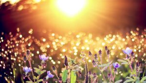 origin and significance explained