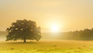 origin and significance explained