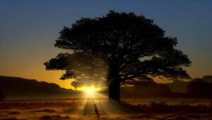 origin and significance explained
