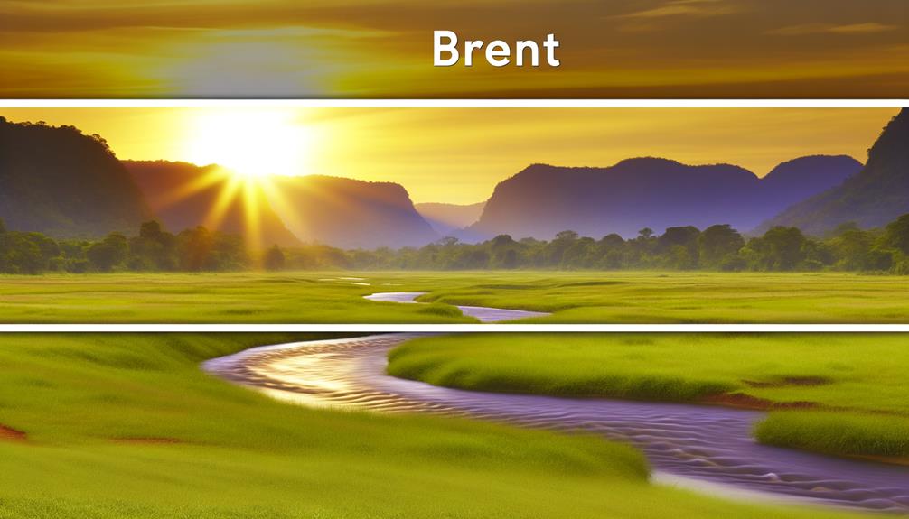 origin and significance explained