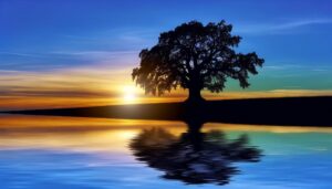 origin and significance explained
