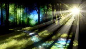 origin and significance explored