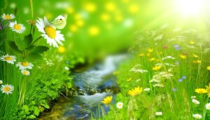 origin and significance revealed