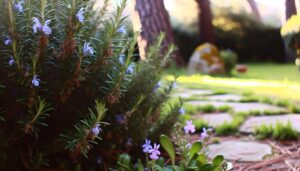 rosemary s name significance explained