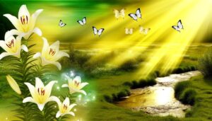 suzanne name spiritual insight