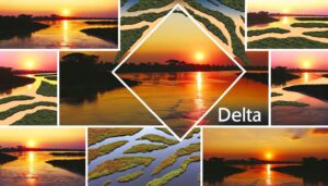 understanding the name delta