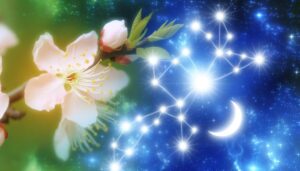 yadira s name significance explained