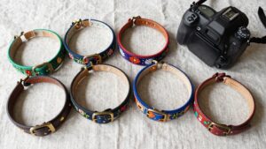 embroidered dog collars 2026