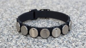 no dangle dog tag model